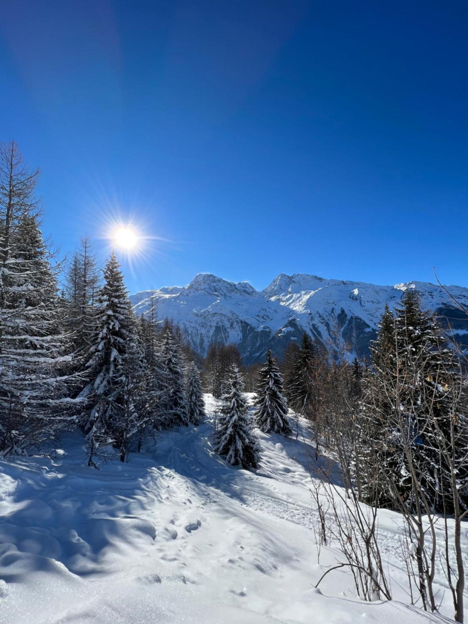 Chalet Altus Sainte-Foy-Tarentaise Kültér fotó