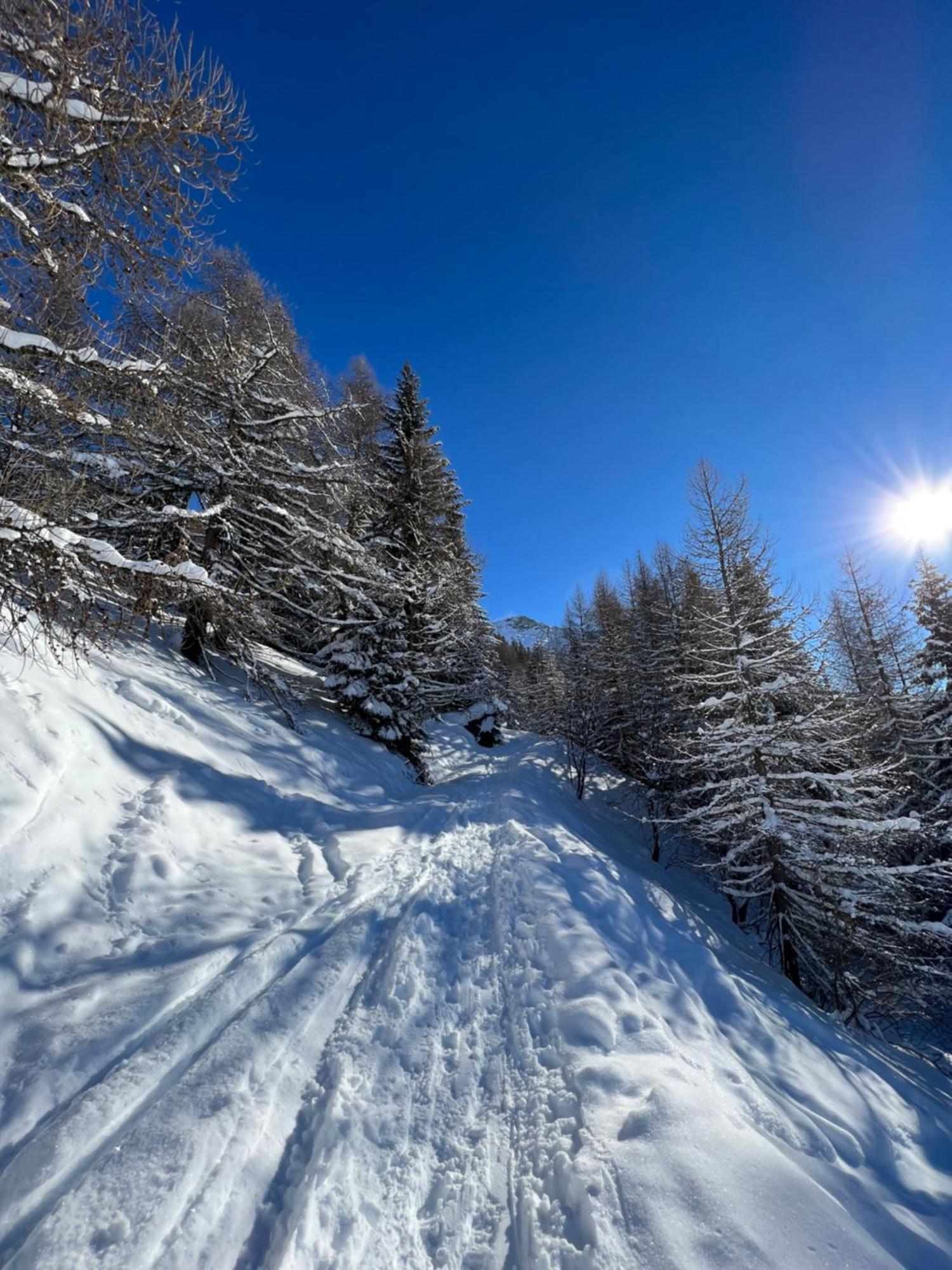 Chalet Altus Sainte-Foy-Tarentaise Kültér fotó