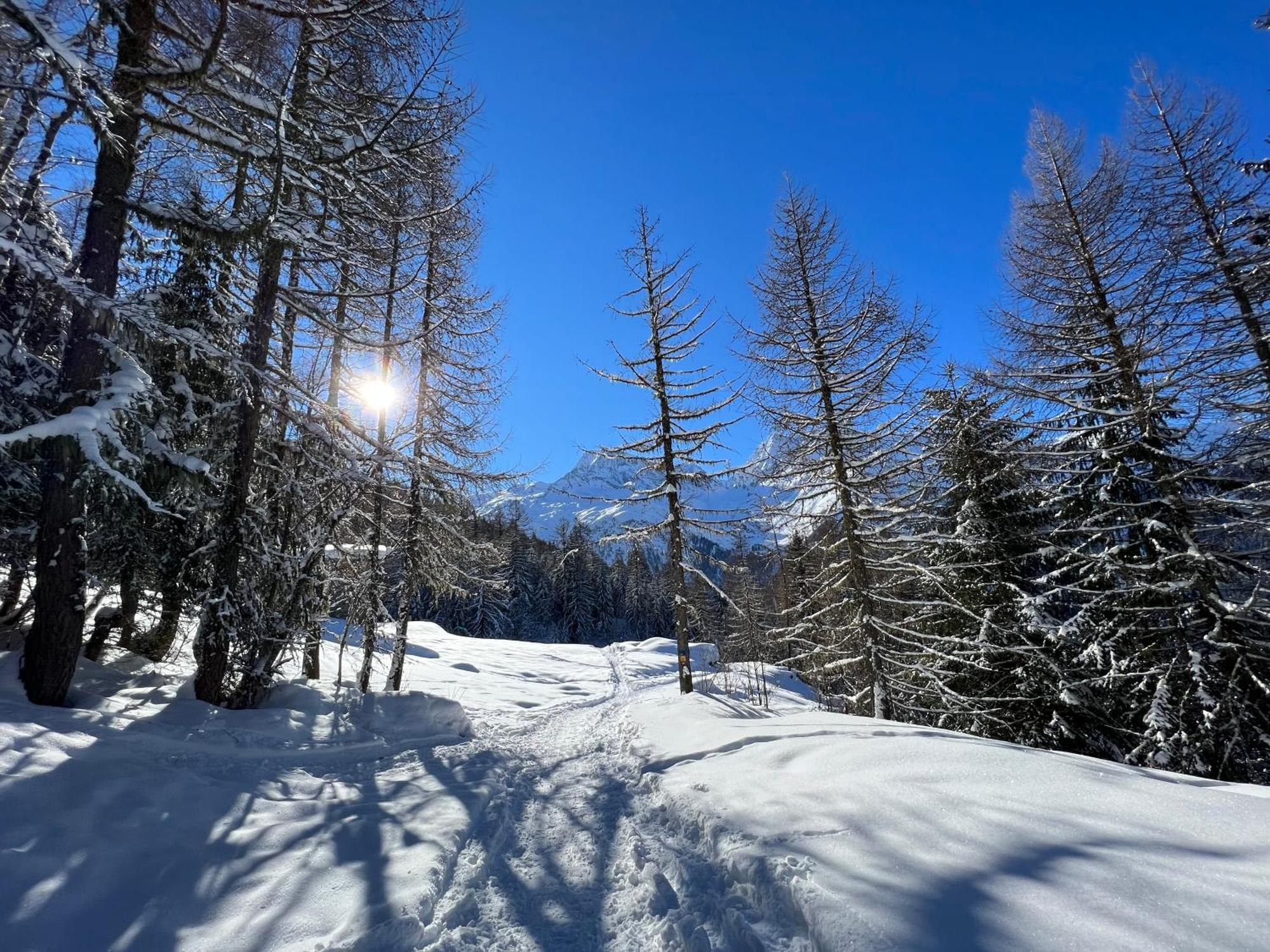 Chalet Altus Sainte-Foy-Tarentaise Kültér fotó